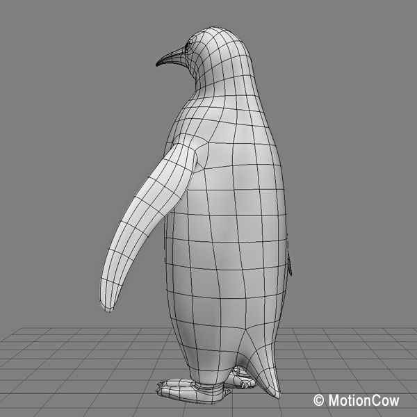 Penguin 3D model_12