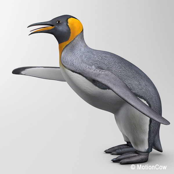 Penguin 3D model_7