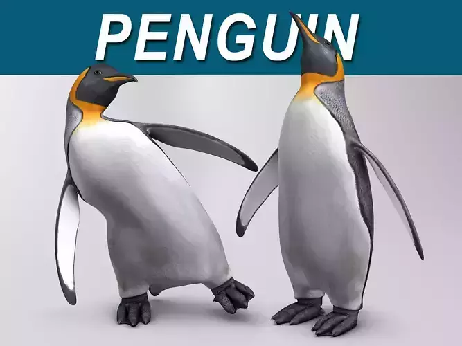 Penguin