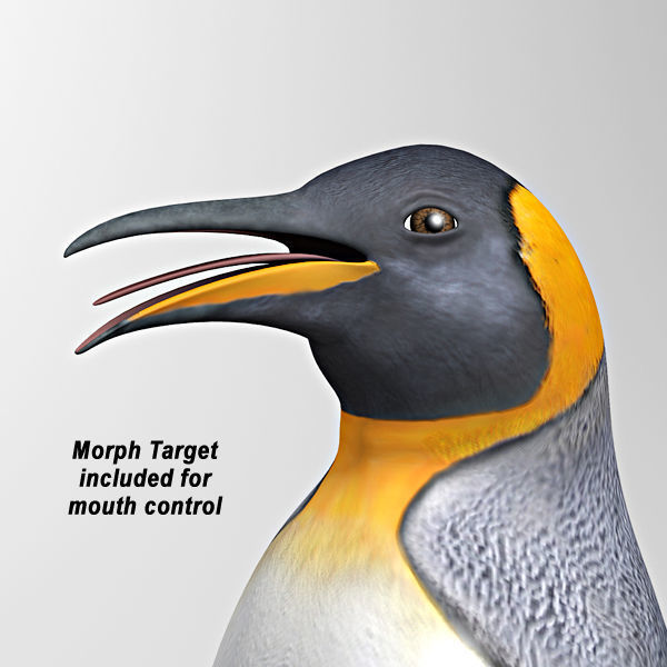 Penguin 3D model_4