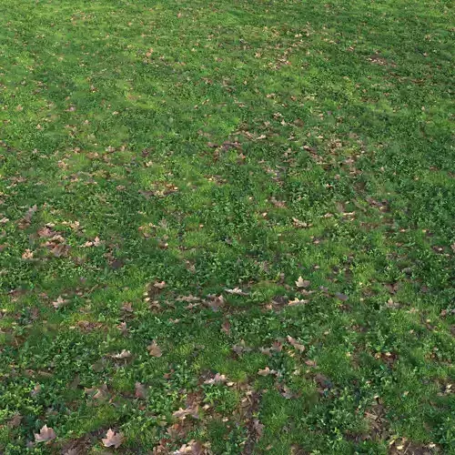 Meadow 14 3D model