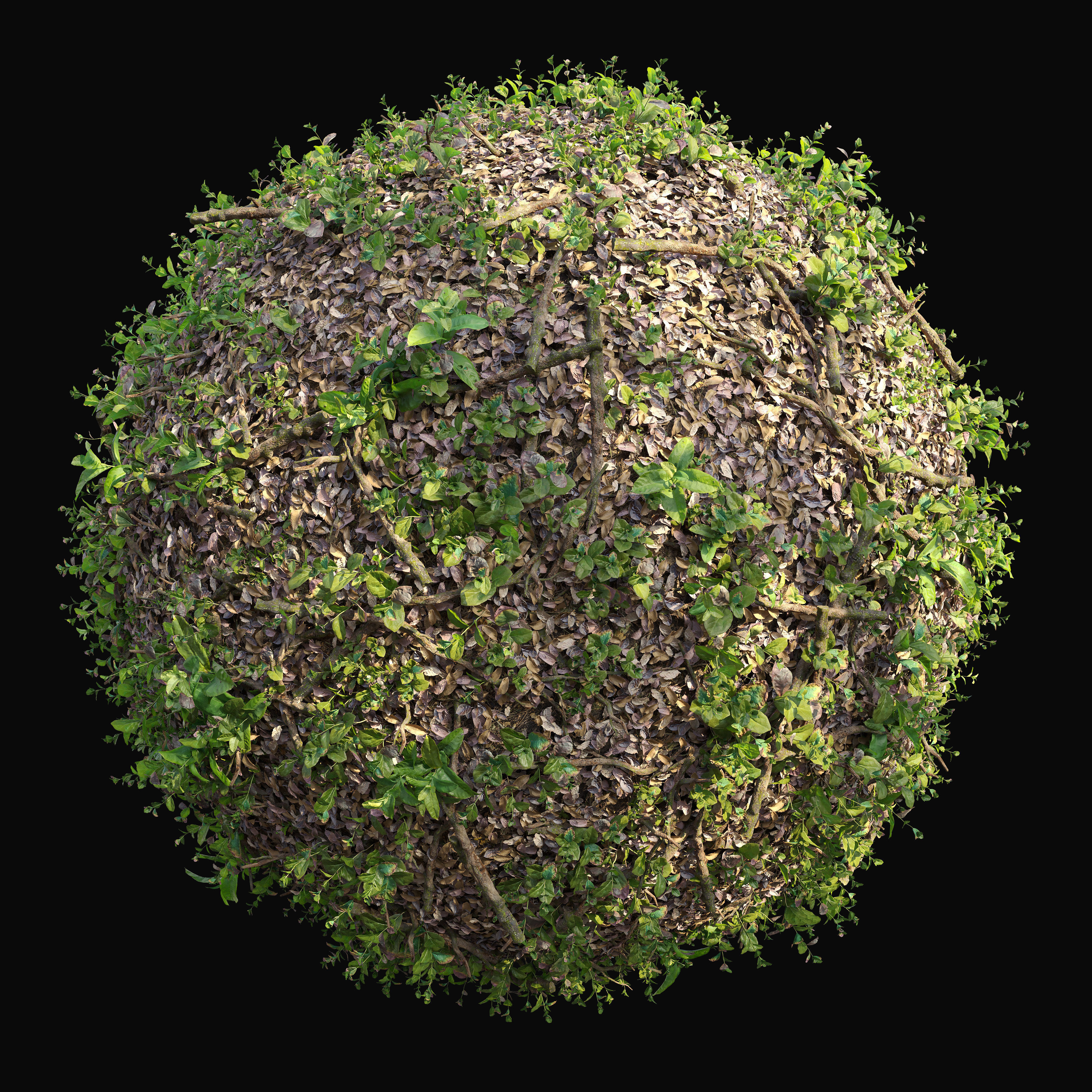 Meadow 15 3D model_3