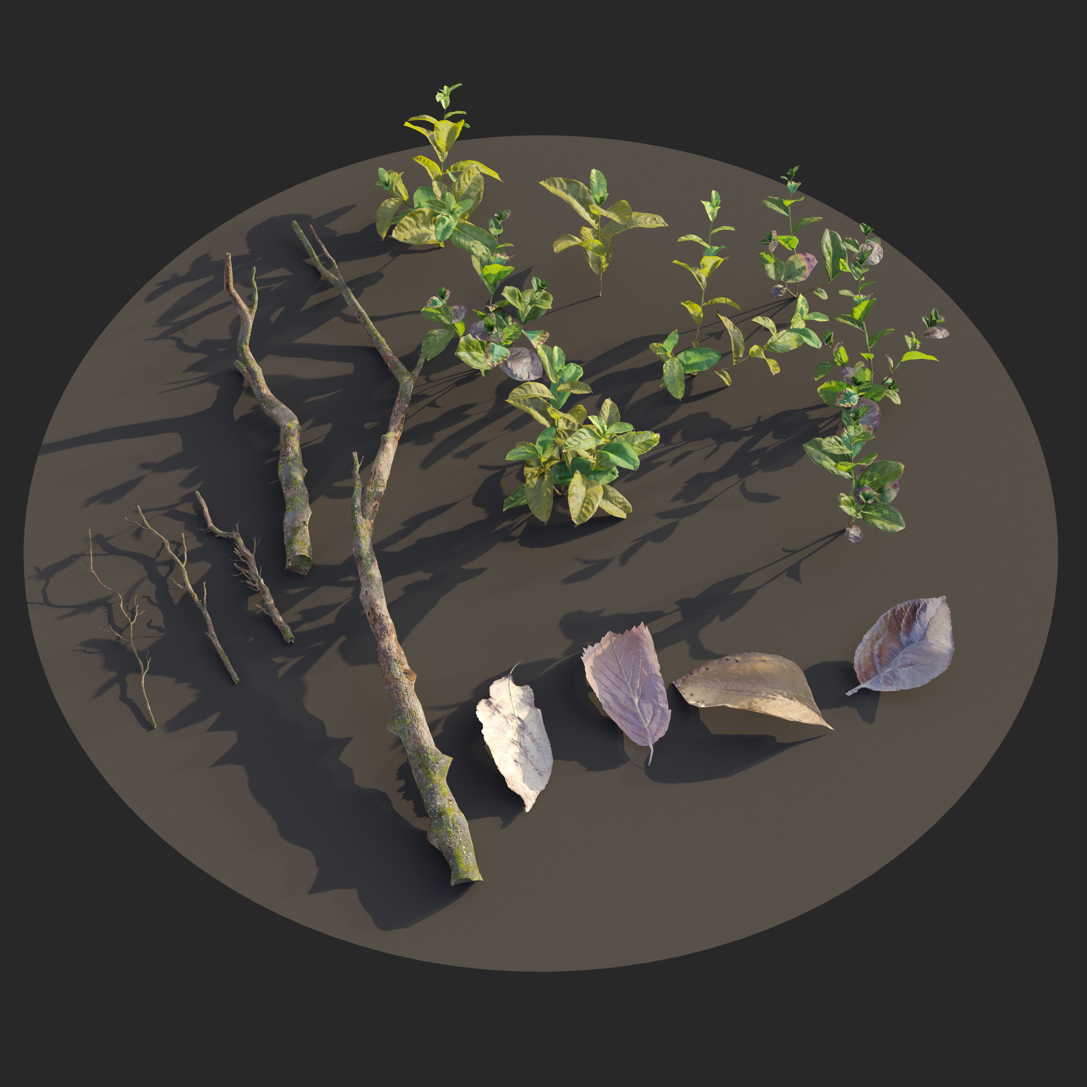 Meadow 15 3D model_4