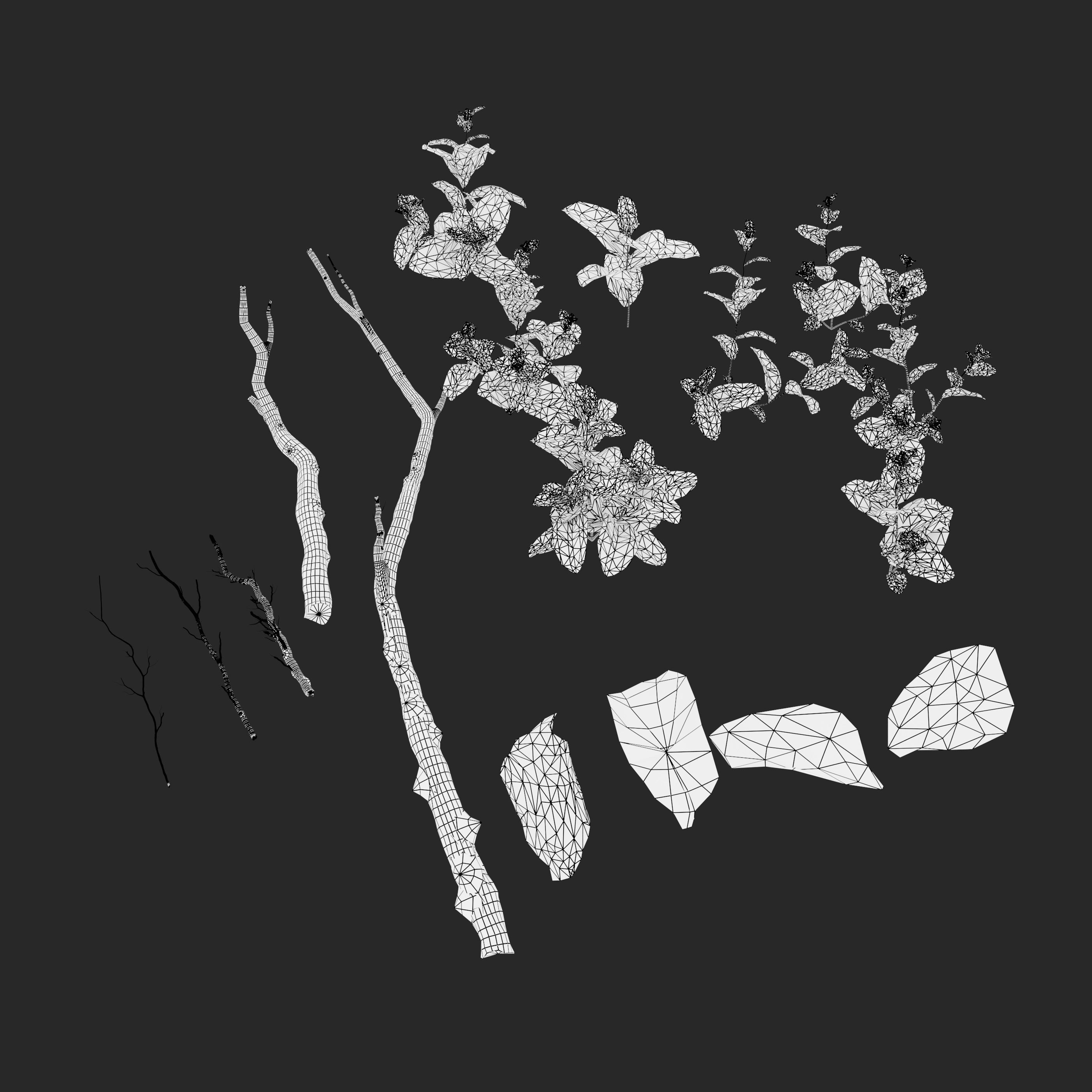 Meadow 15 3D model_5
