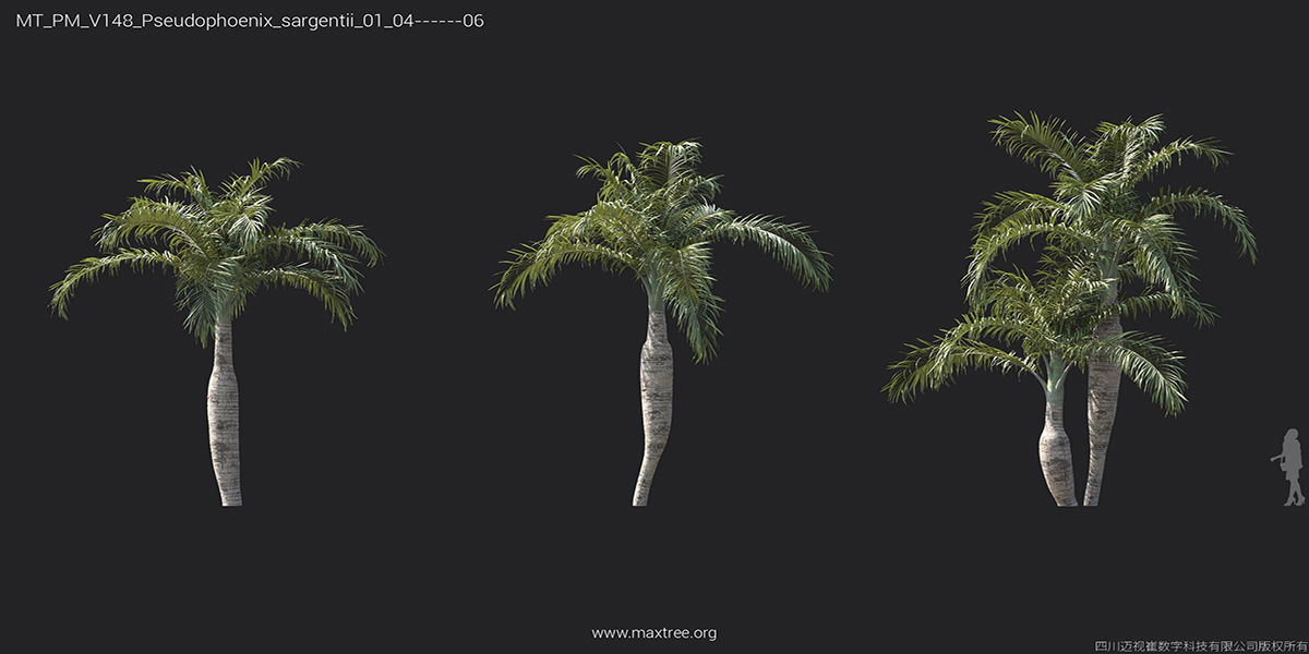 Maxtree Plant Models Vol 148 - Mesh 3D model_33