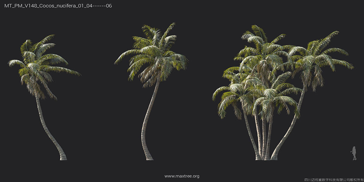 Maxtree Plant Models Vol 148 - Mesh 3D model_27