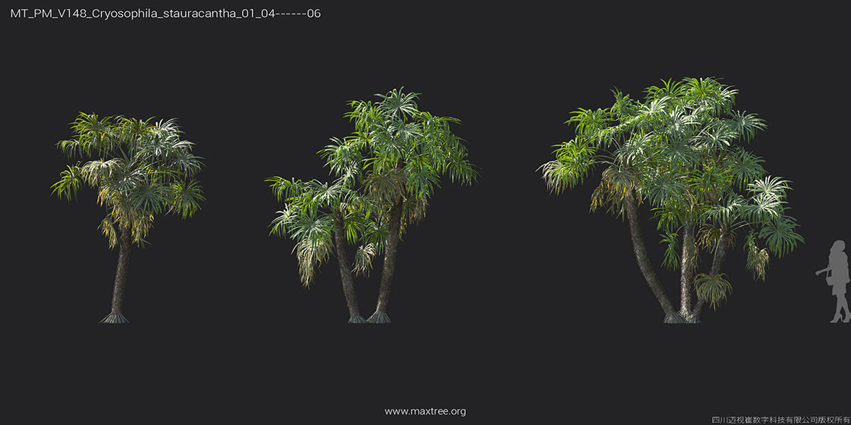 Maxtree Plant Models Vol 148 - Mesh 3D model_30