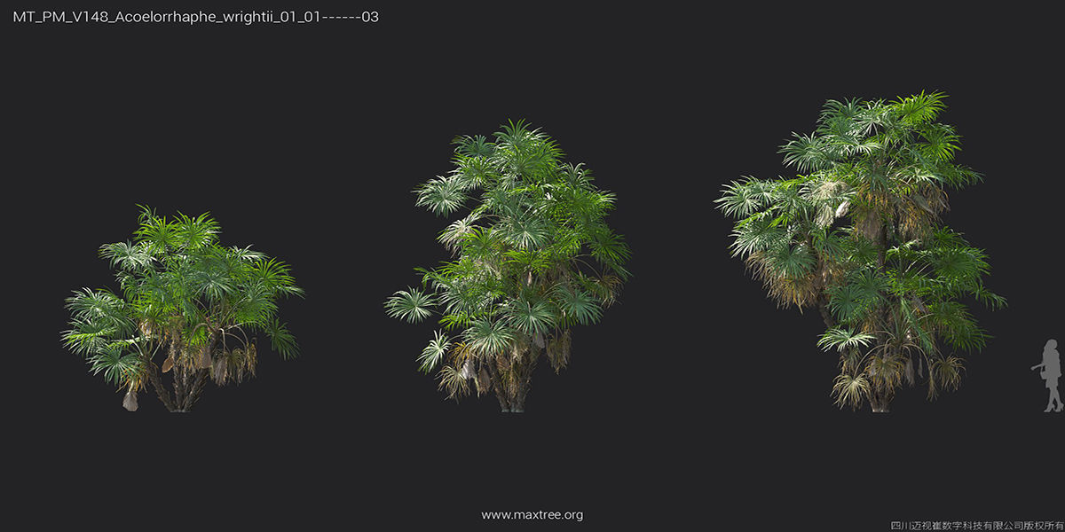 Maxtree Plant Models Vol 148 - Mesh 3D model_5