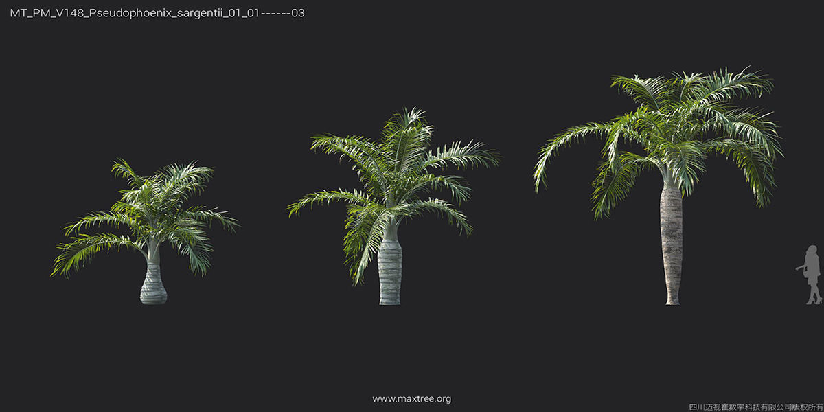 Maxtree Plant Models Vol 148 - Mesh 3D model_32