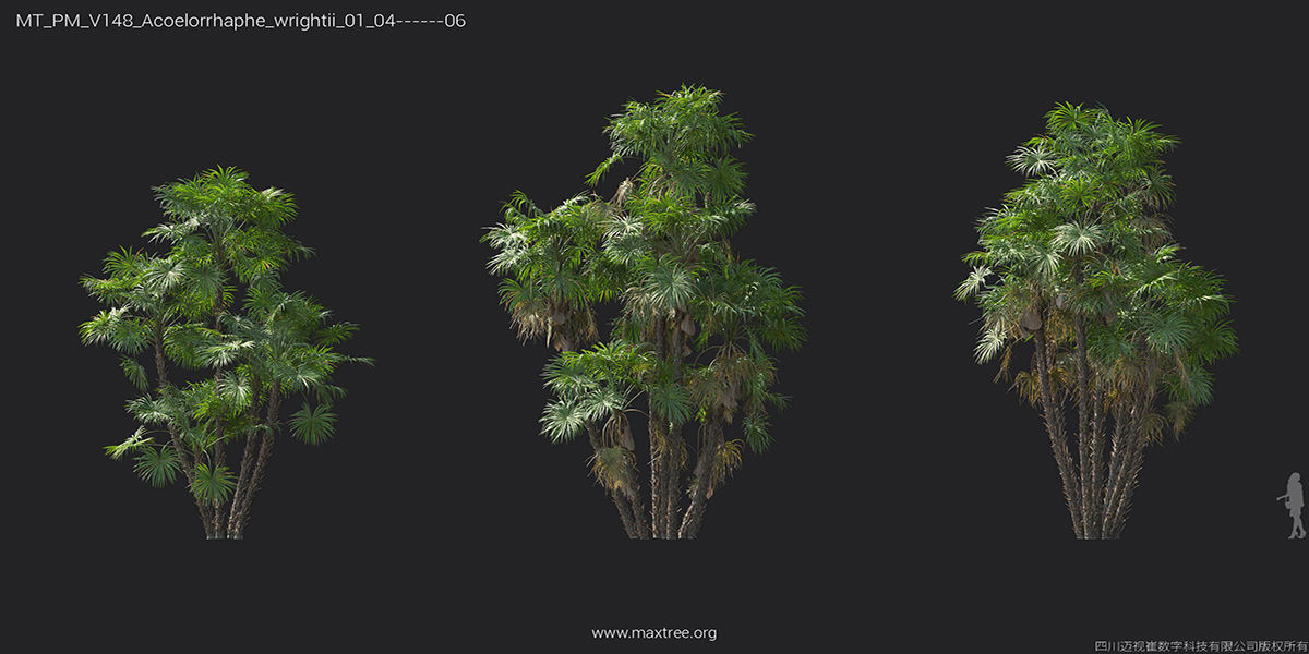 Maxtree Plant Models Vol 148 - Mesh 3D model_6