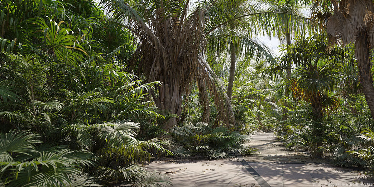 Maxtree Plant Models Vol 148 - Mesh 3D model_2