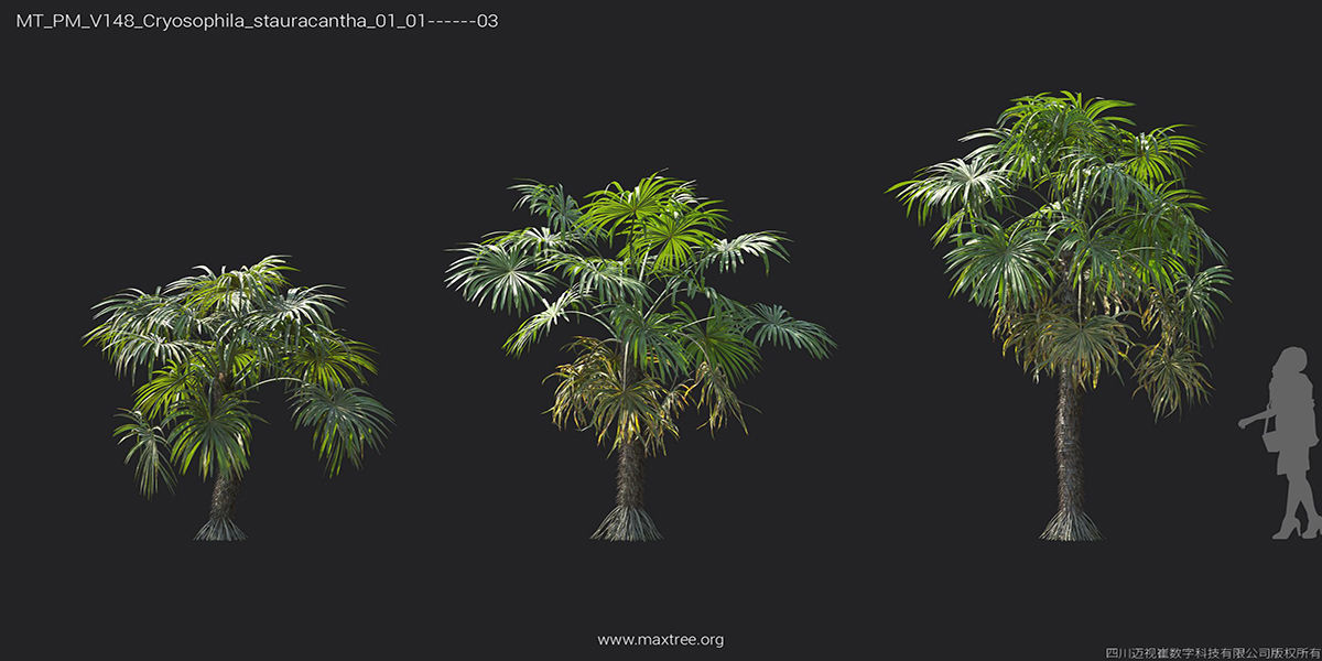 Maxtree Plant Models Vol 148 - Mesh 3D model_29