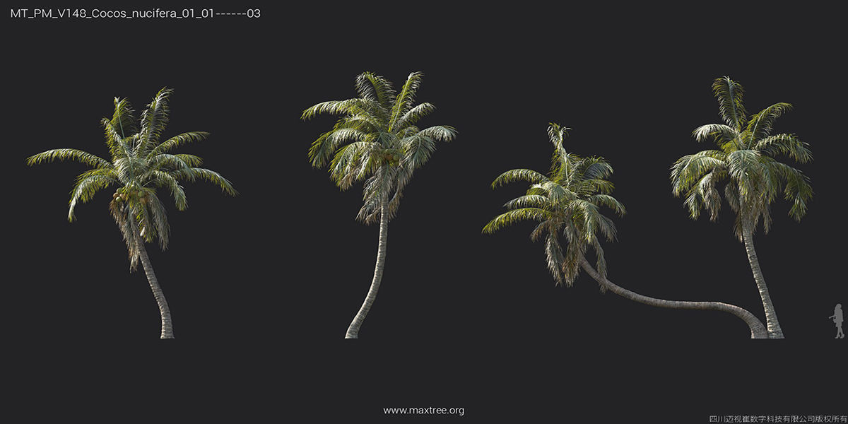 Maxtree Plant Models Vol 148 - Mesh 3D model_26