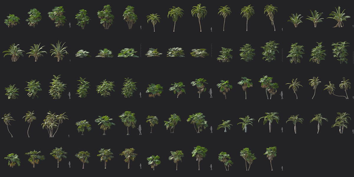 Maxtree Plant Models Vol 148 - Mesh 3D model_4