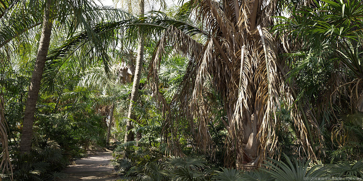 Maxtree Plant Models Vol 148 - Mesh 3D model_1