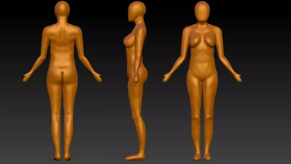 anatomy 3D print model_0