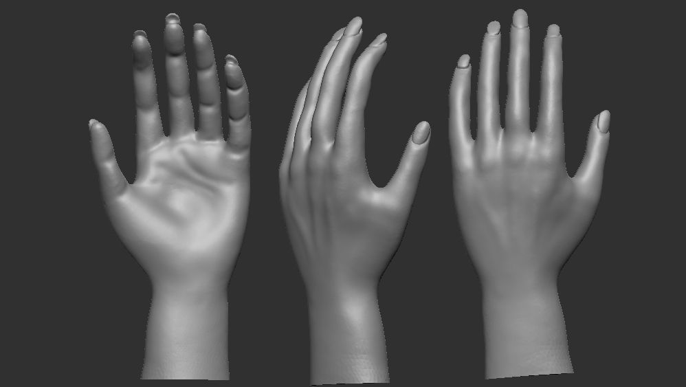 anatomy 3D print model_2