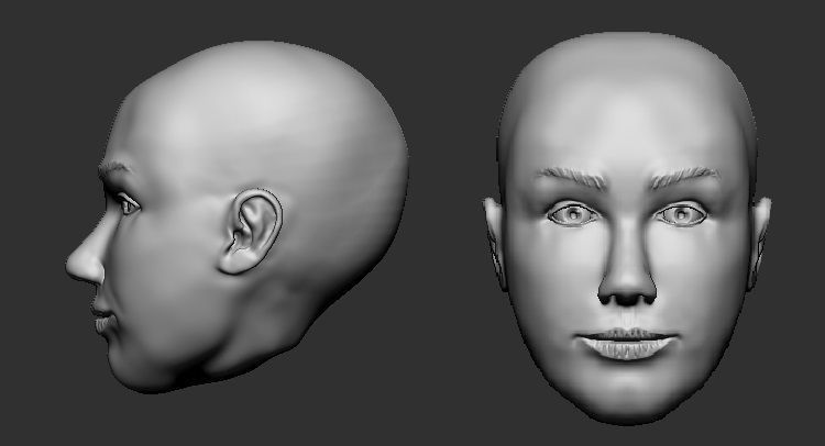 anatomy 3D print model_3