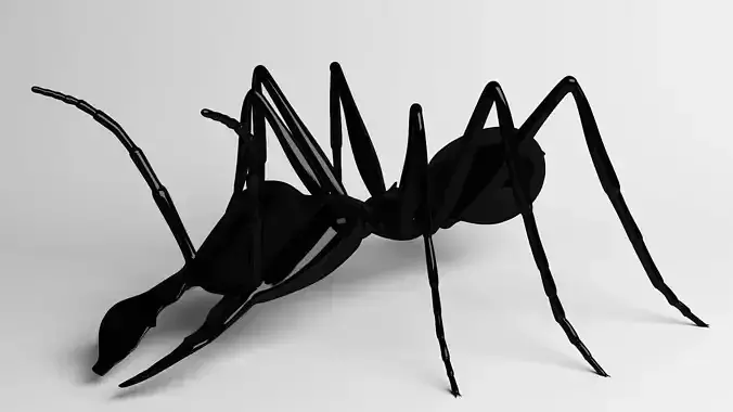 Ant Model
