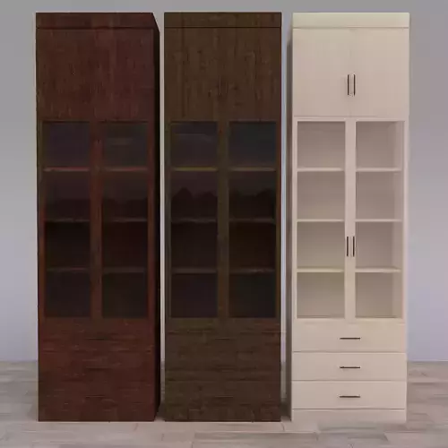 Book and Storage cabinet 