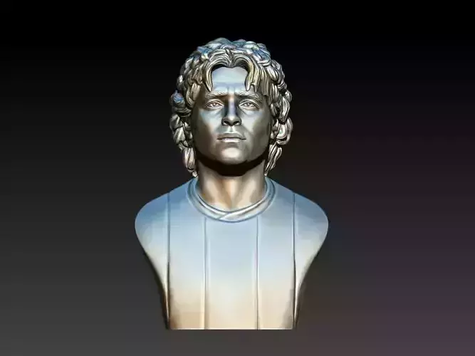Diego Maradona 3D 3D print model