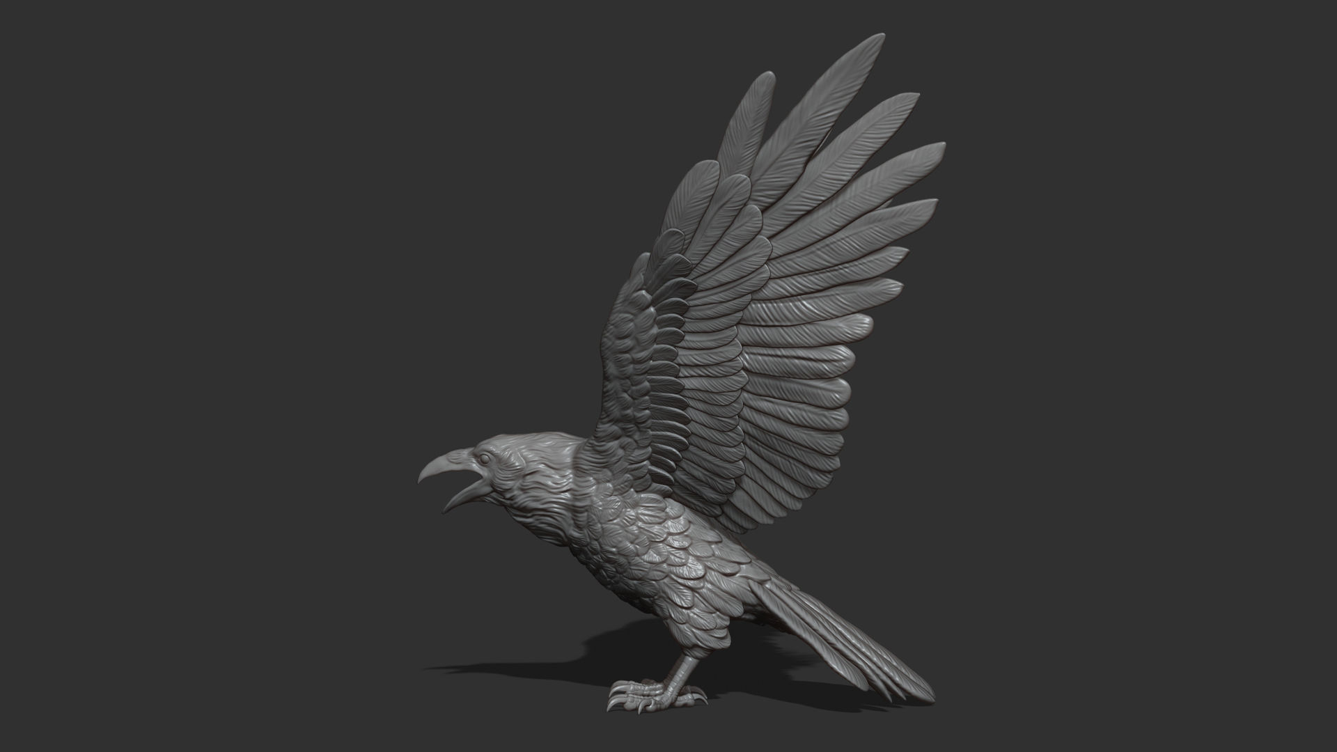 Raven spread its wings 3D print model_12