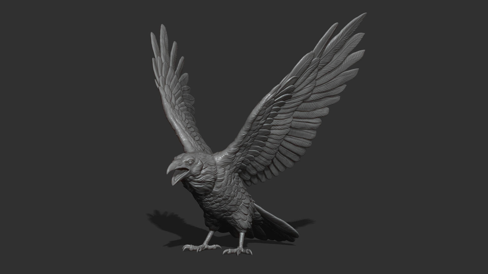 Raven spread its wings 3D print model_13