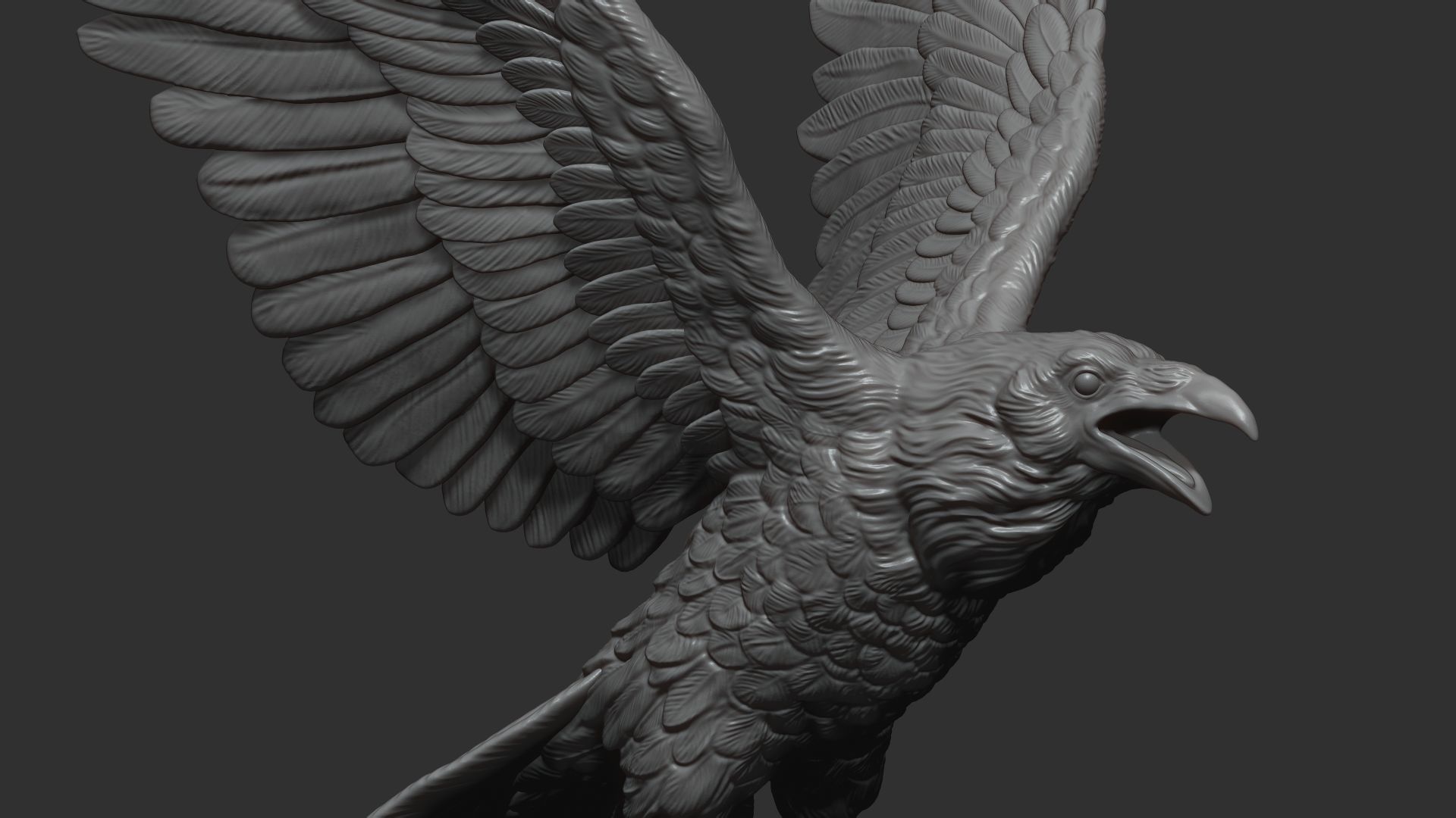 Raven spread its wings 3D print model_6