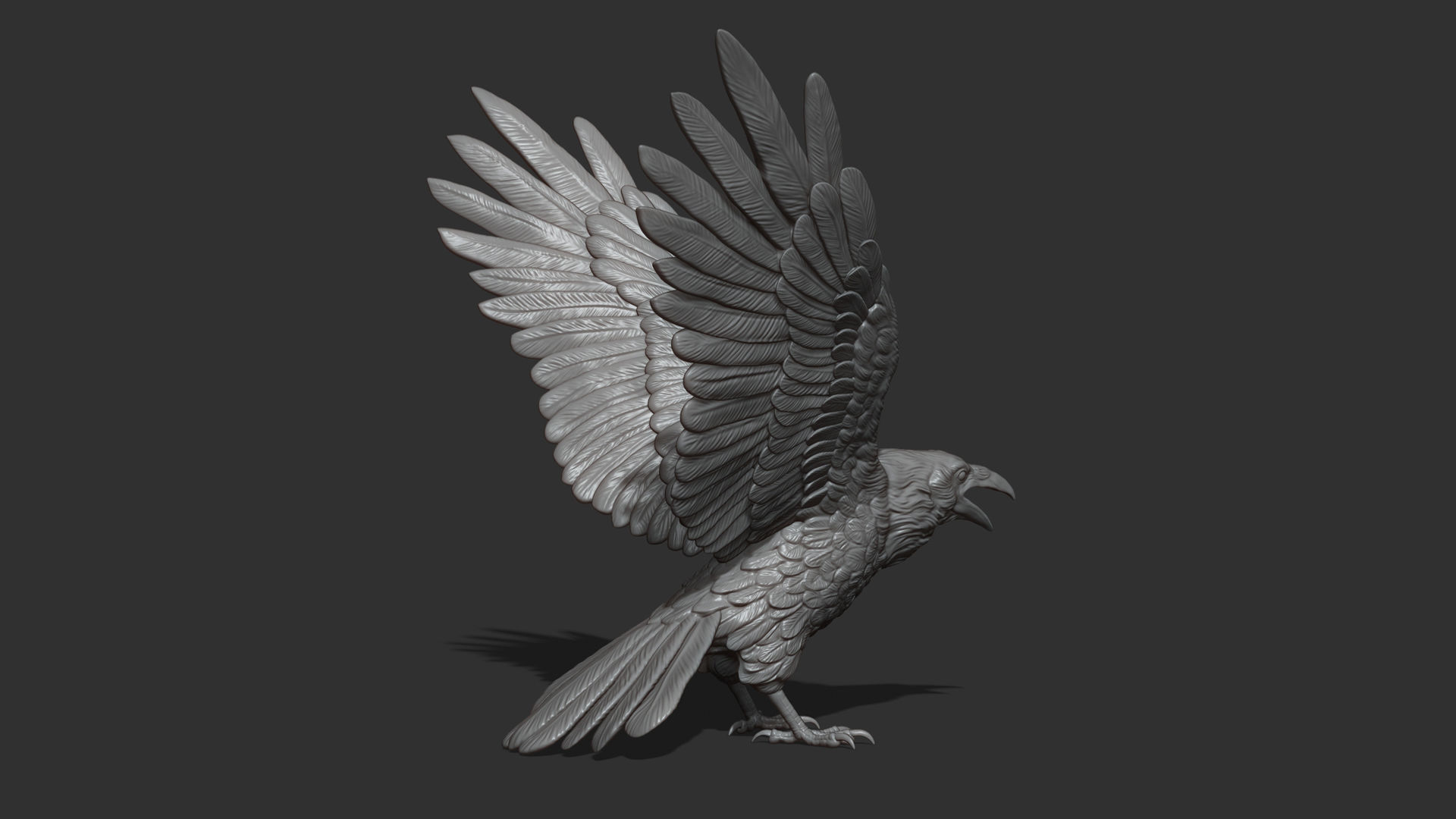 Raven spread its wings 3D print model_14