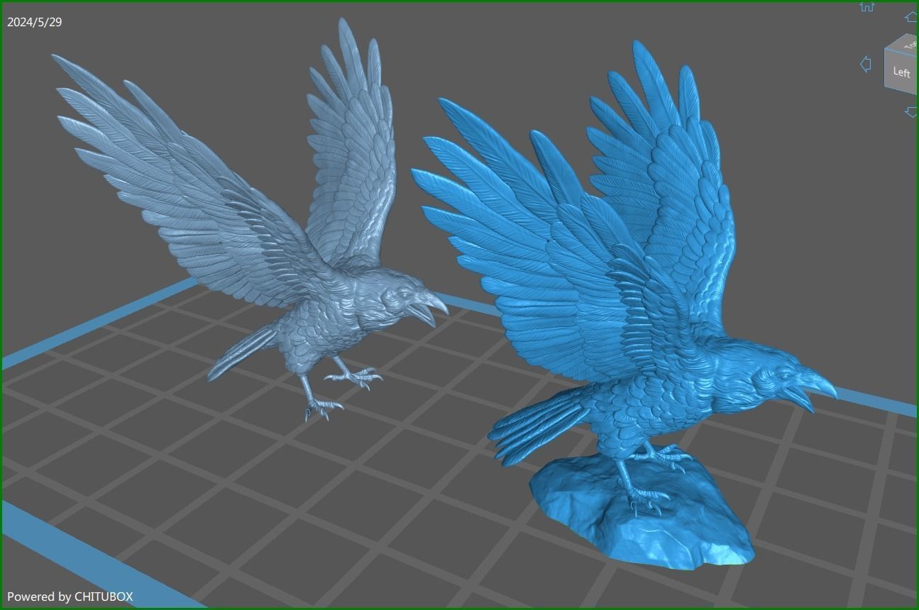 Raven spread its wings 3D print model_2