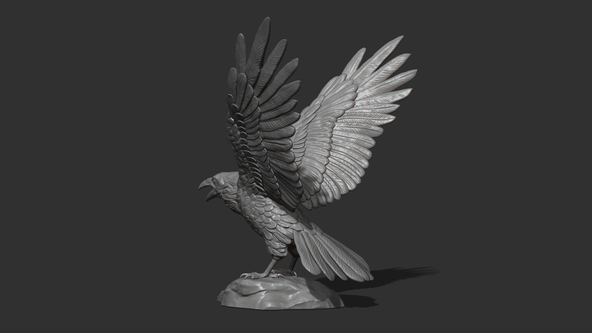 Raven spread its wings 3D print model_10