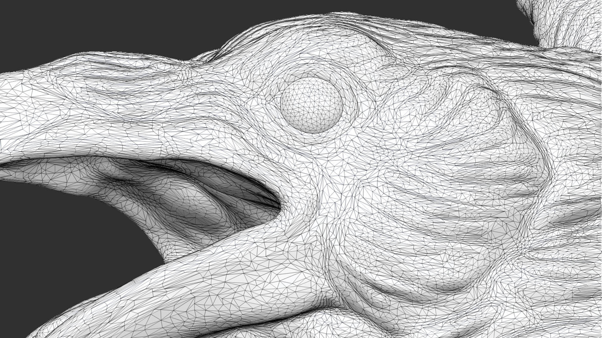 Raven spread its wings 3D print model_20