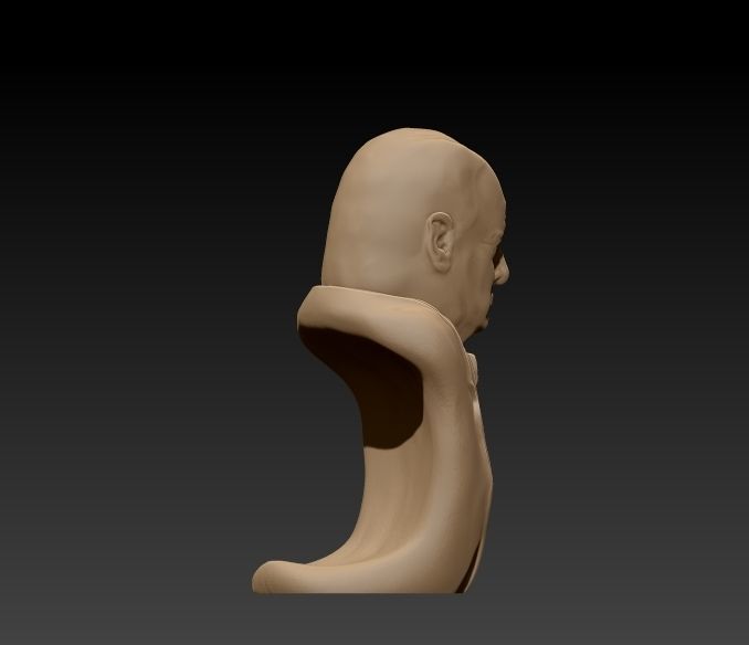 Churchill Bust Ready for 3D printing 3D print model_5