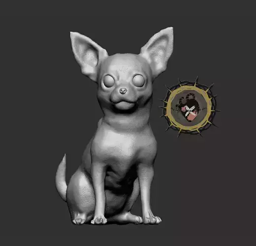 CHIHUAHUA DOG MODEL
