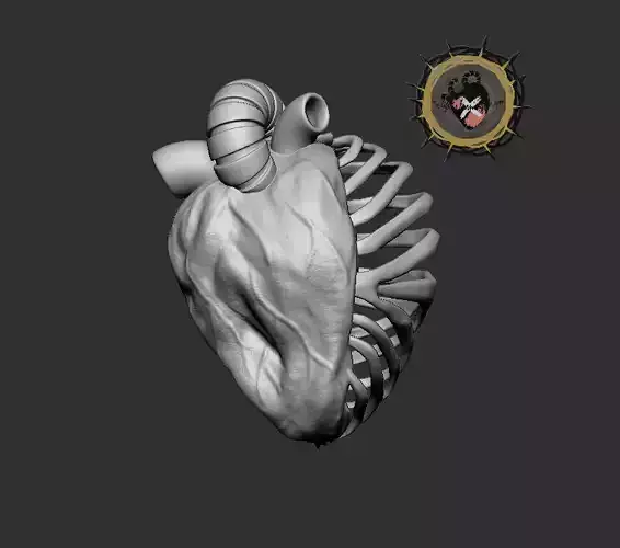 Heart spine bone organ Props 3D print model