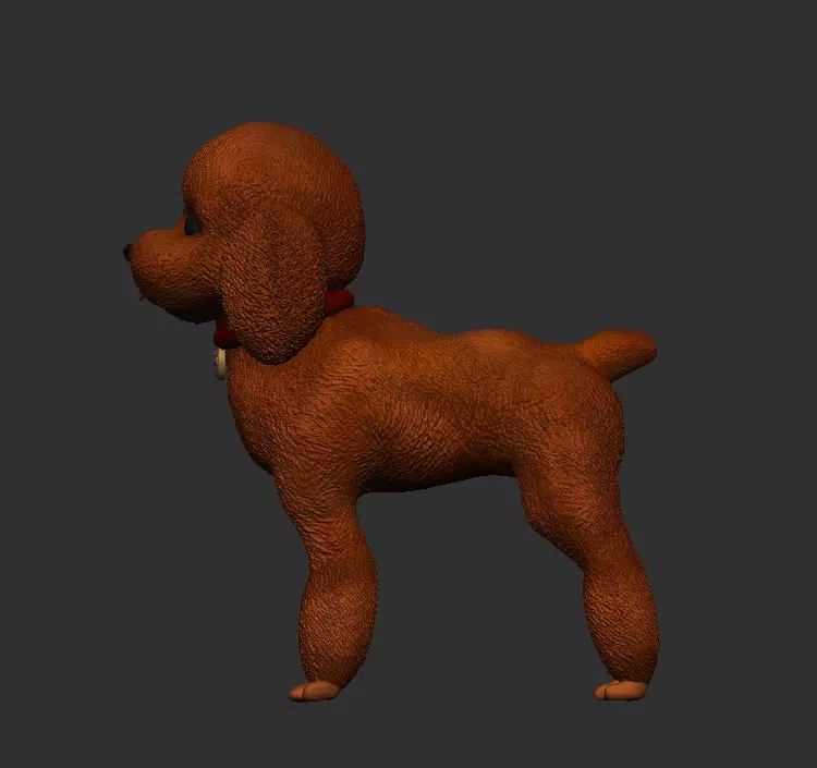 Poodle dog standing posture 3D print model