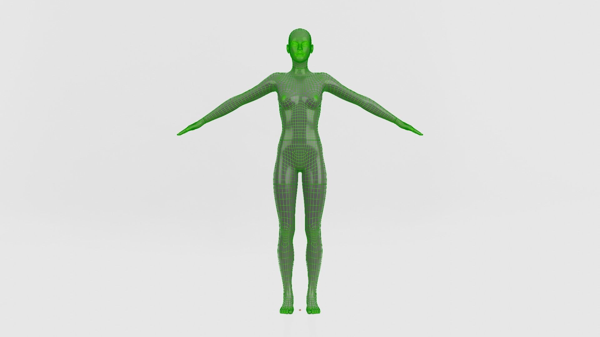 Female Mannequin 3D model_7