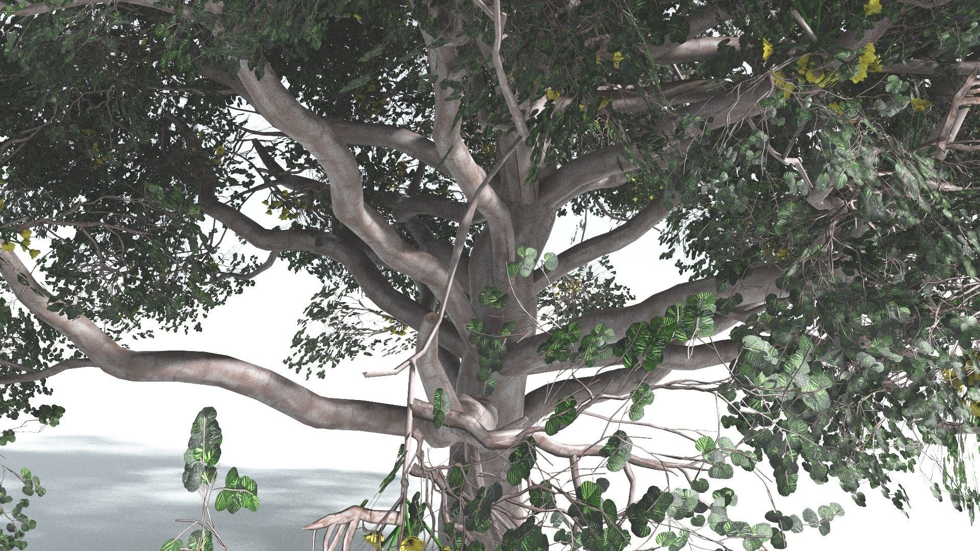 EVERYPlant Portia Tree 2 --14 Models-- 3D model_8