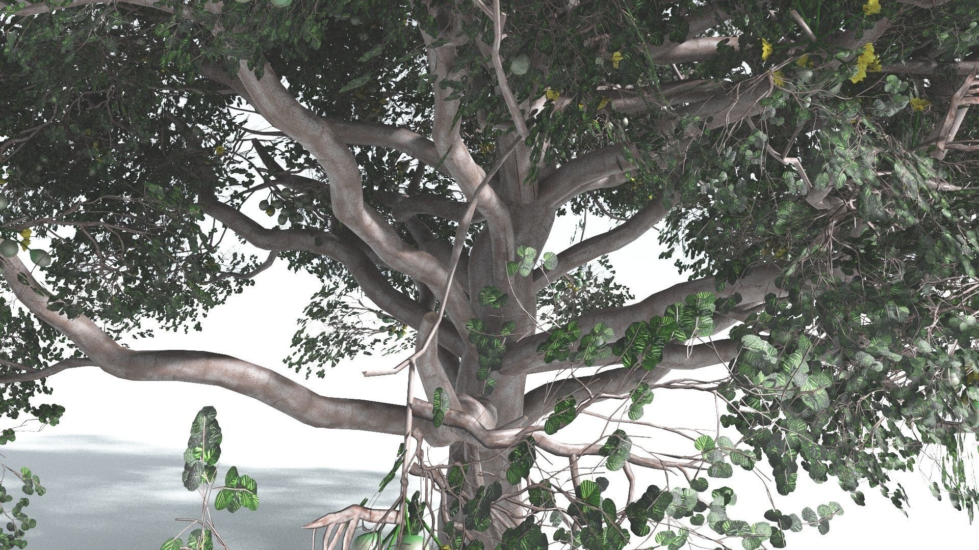 EVERYPlant Portia Tree 2 --14 Models-- 3D model_6