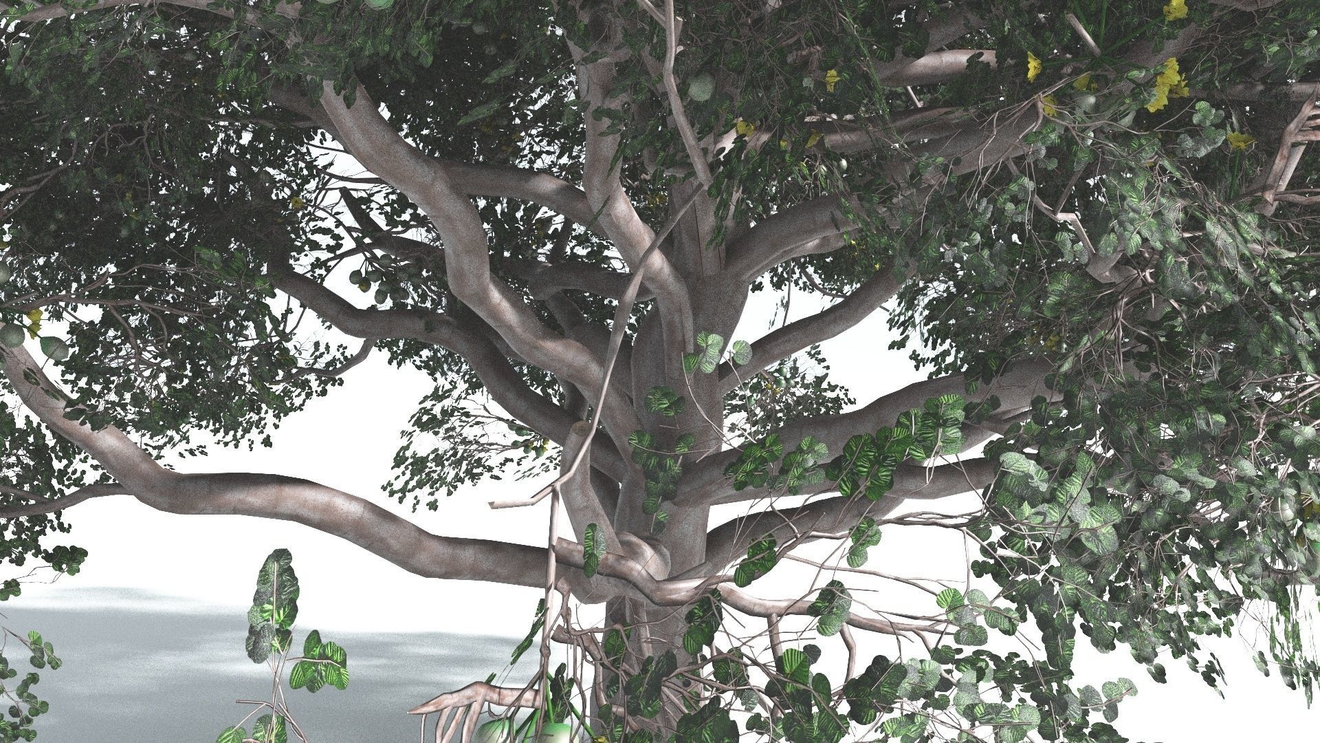 EVERYPlant Portia Tree 2 --14 Models-- 3D model_12