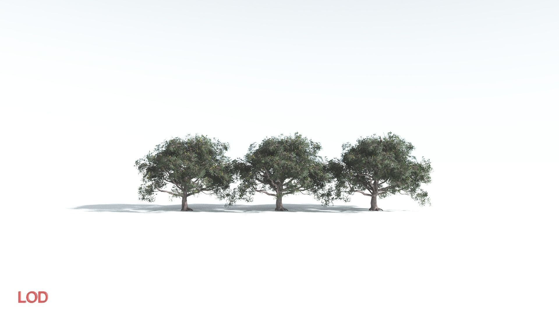 EVERYPlant Portia Tree 2 --14 Models-- 3D model_4