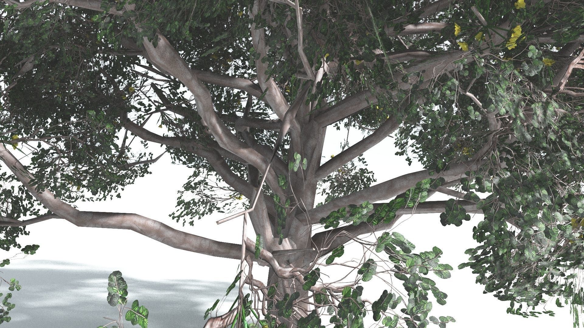 EVERYPlant Portia Tree 2 --14 Models-- 3D model_30