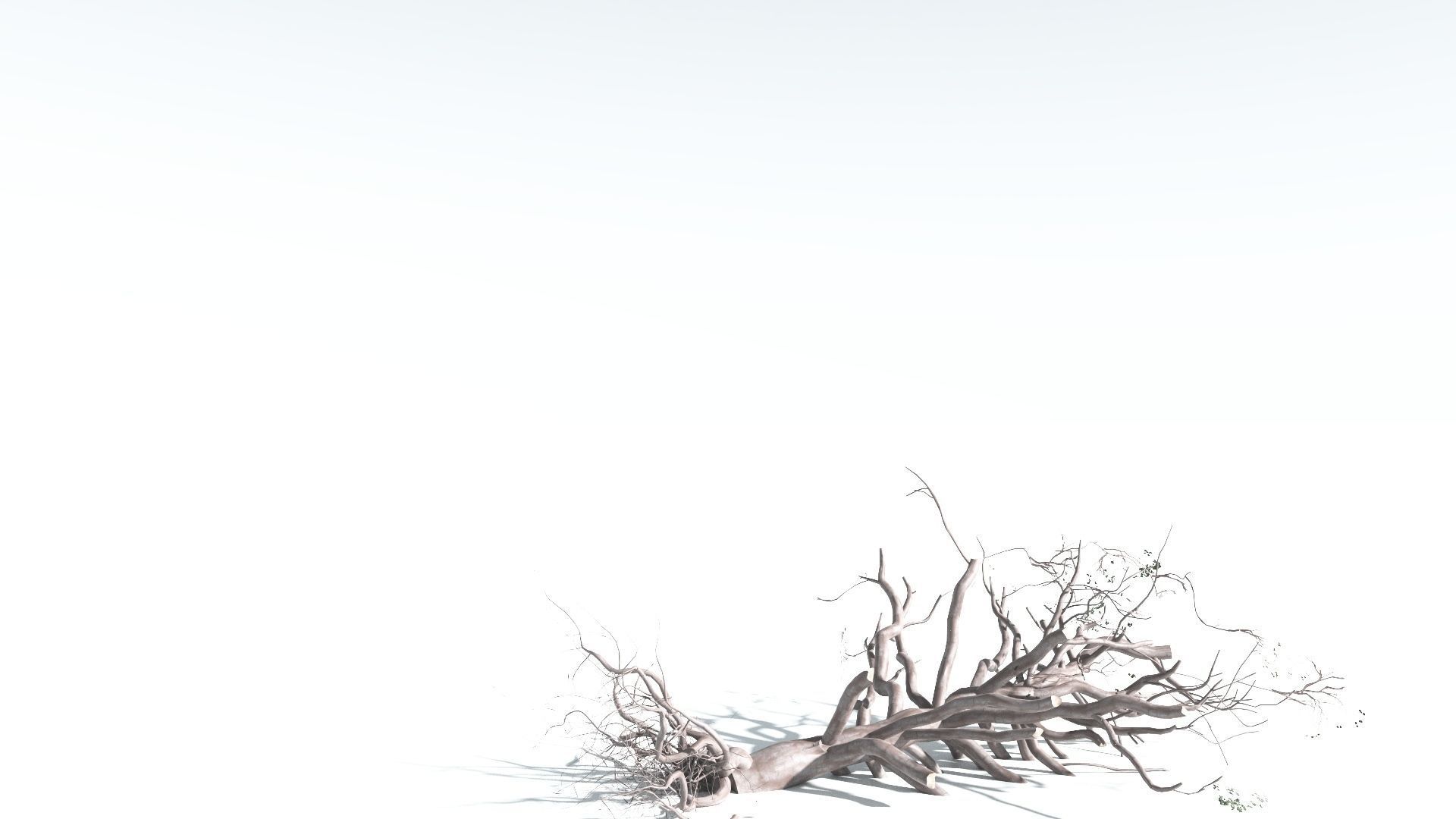 EVERYPlant Portia Tree 2 --14 Models-- 3D model_19