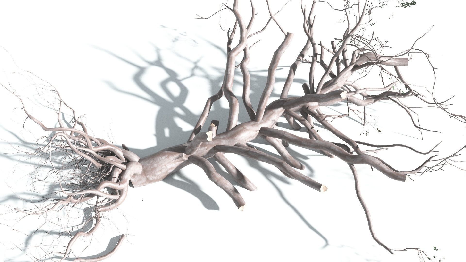 EVERYPlant Portia Tree 2 --14 Models-- 3D model_20