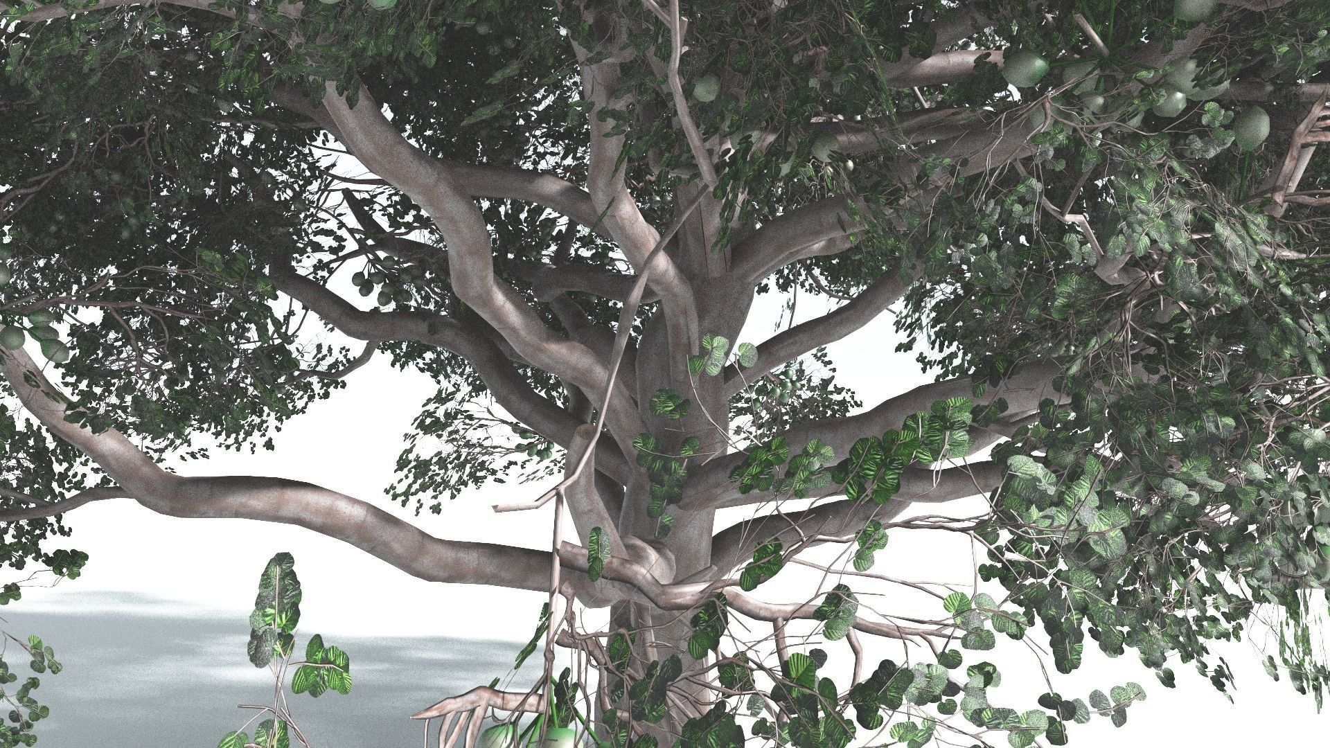 EVERYPlant Portia Tree 2 --14 Models-- 3D model_10
