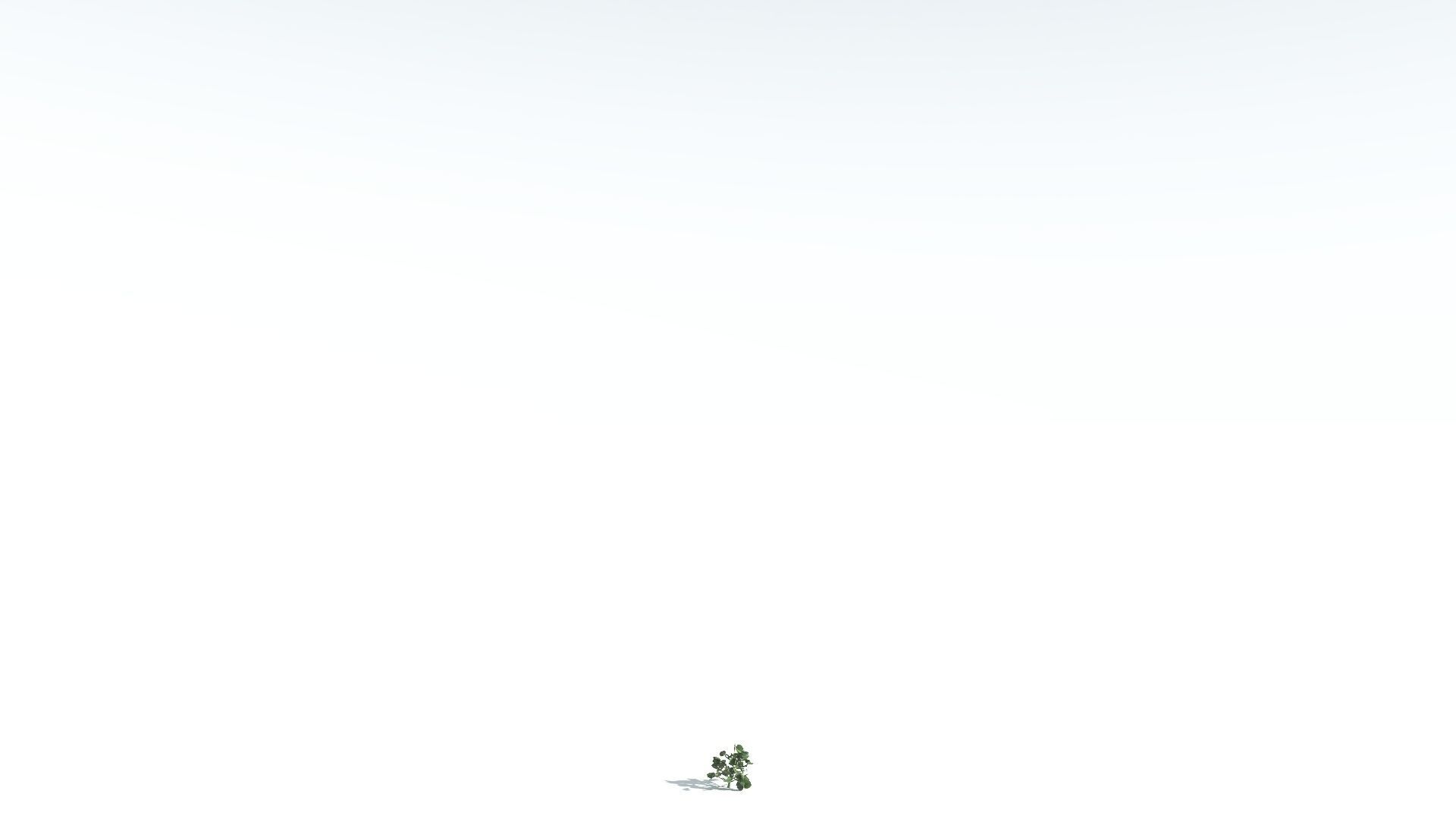 EVERYPlant Portia Tree 2 --14 Models-- 3D model_27