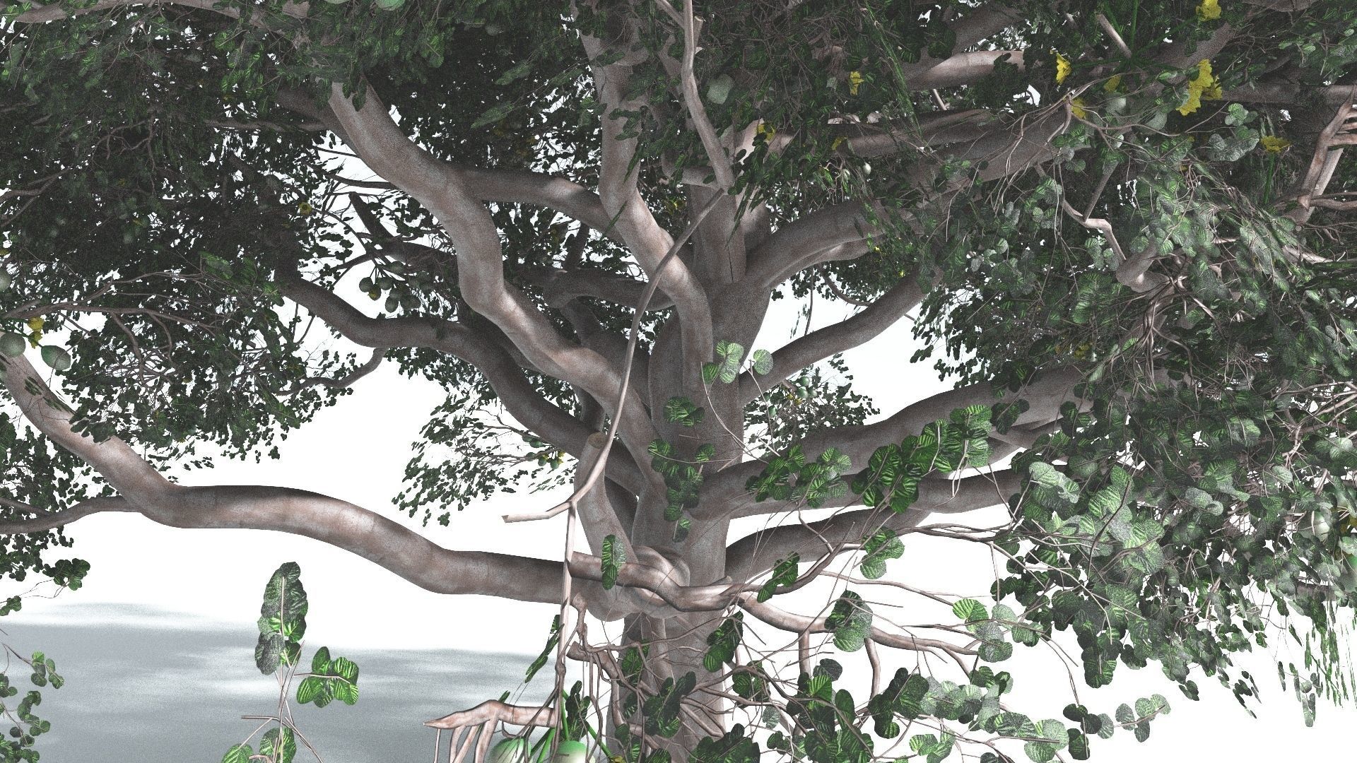 EVERYPlant Portia Tree 2 --14 Models-- 3D model_32