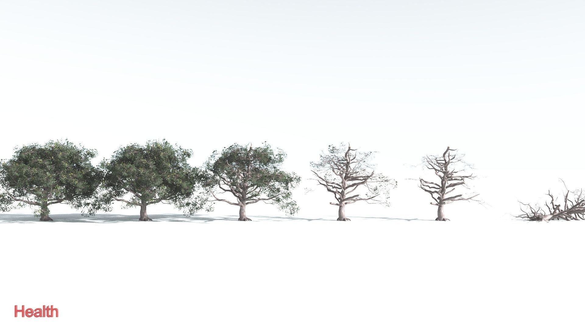 EVERYPlant Portia Tree 2 --14 Models-- 3D model_2