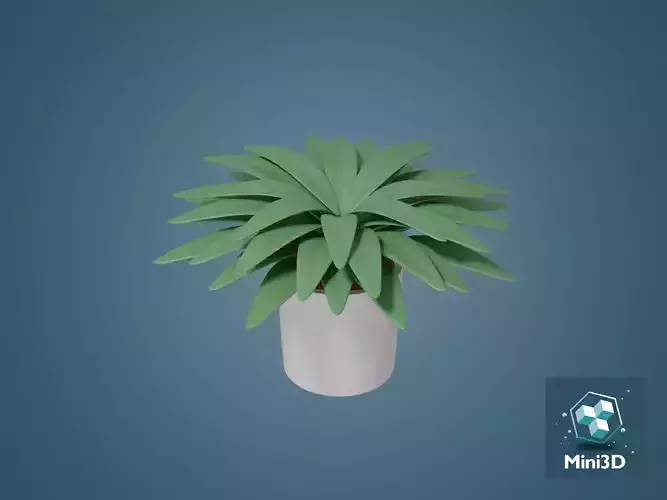 Decorative Plant In The Pot