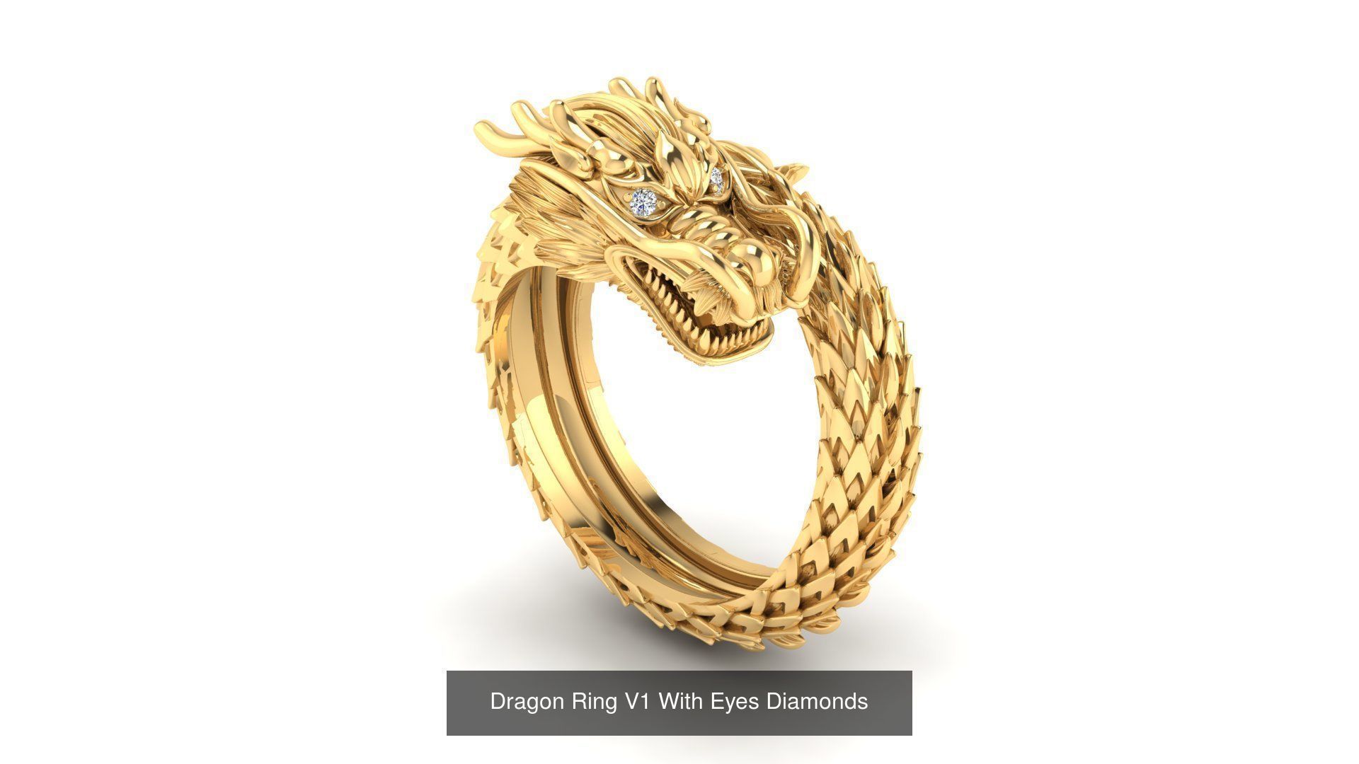 Best Collection Dragon  _2
